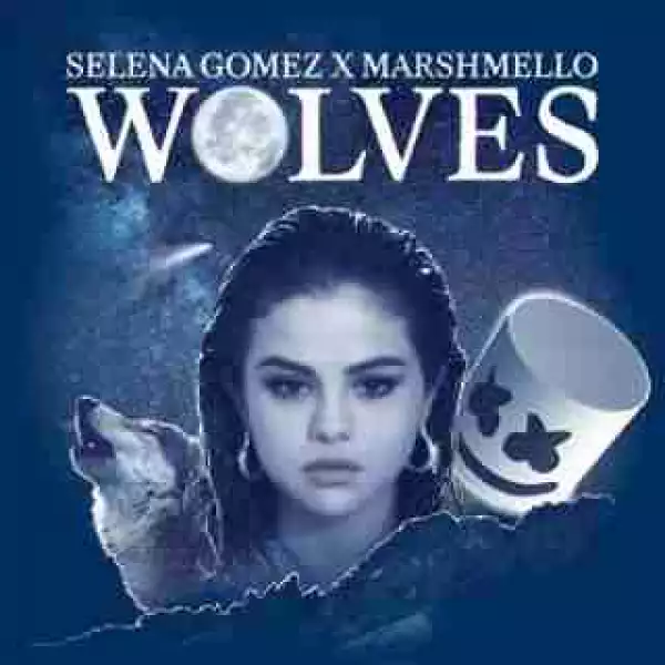 Instrumental: Selena Gomez - Wolves  Ft. Marshmello